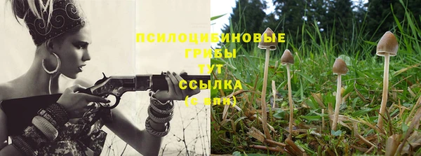 дмт Алексеевка